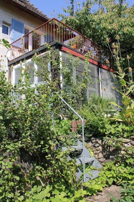 Erholung Mit Seesicht, Terrasse Und Garten Uberlingen Luaran gambar