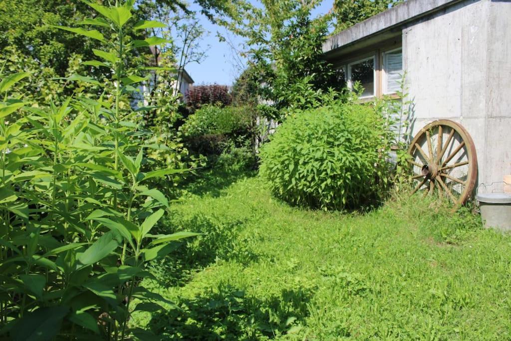Erholung Mit Seesicht, Terrasse Und Garten Uberlingen Luaran gambar